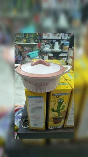 Plastic Hot Box At Rs 95 Piece Hot Case In Madurai ID 2849175369248