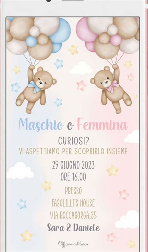 Teddy Bear Gender Reveal Invitation Gender Neutral Invites Boho Beige Pampas Grass Hot Air