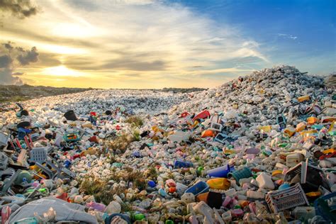 Muitos Impactos Ambientais Trazem Consequências Graves E Algumas Vezes