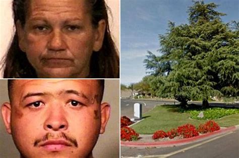 Randy Couple Filmed Having SEX In Broad Daylight Don T Appear To Care Who Sees Them At It