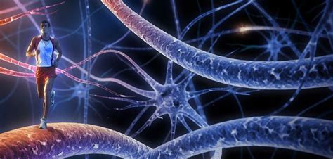 6 Techniques To Hack Your Brain Fit For Life