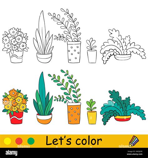 Conjunto De Plantas De La Casa Página De Libro Para Colorear Con