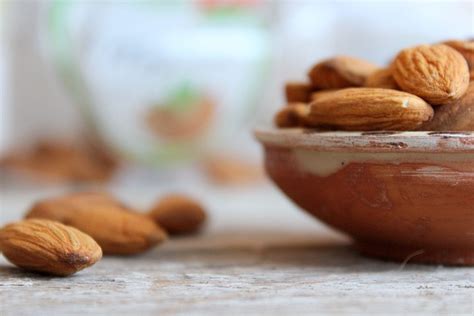 500 Free Badam Almond Images Pixabay