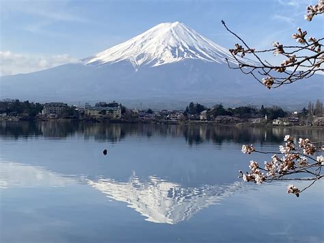 Mount Fuji Mountain Lake - Free photo on Pixabay - Pixabay