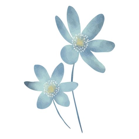 Design Png E Svg De Duas Flores Azuis Em Aquarela Para Camisetas