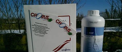 Препарат Хорус — инструкция по применению для обработки растений от ...