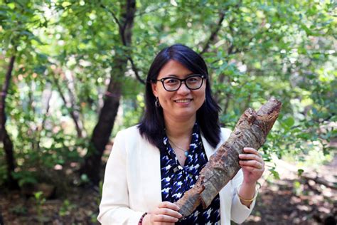 Building The ‘bark Biorefinery Meet Professor Ning Yan U Of T