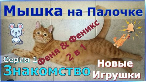 Мышка на палочке. Серия 1. Знакомство. Новые Игрушки. Кот Феня и Феникс ...
