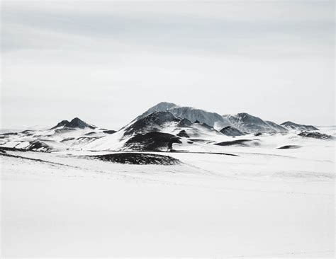 Tundra Biome US | USA