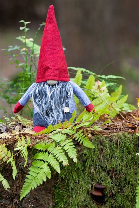 christmas imp   forest stock image image  seasonal holiday