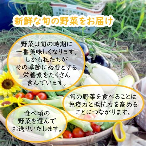 ふるさと納税 野菜 特別栽培 定期便 セット 4回 詰め合わせ 無農薬 7〜10種類 Tagatame タガタメ 香川県さぬき市 品質満点！