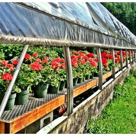 Best Hot House Ideas Images On Pinterest