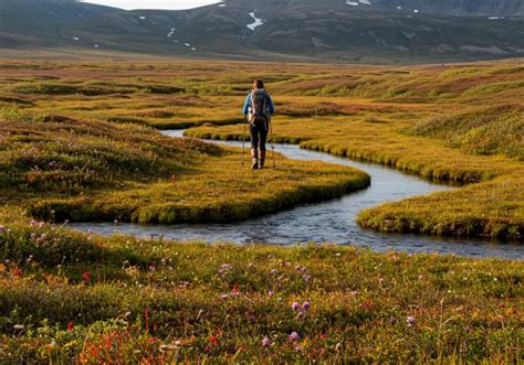 Surviving Gates Of The Arctic Backpacking Tips And Tricks