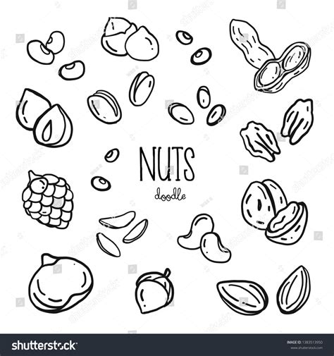 drawing nuts