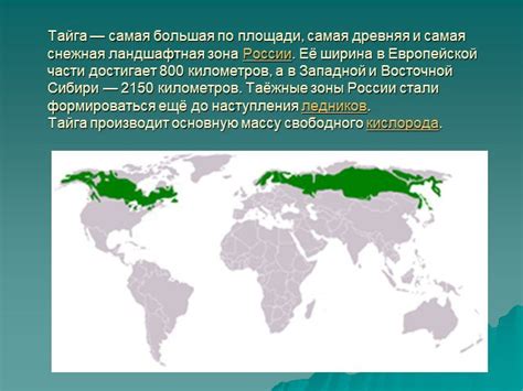 Презентация "Тайга" (4 класс) по окружающему миру – скачать проект