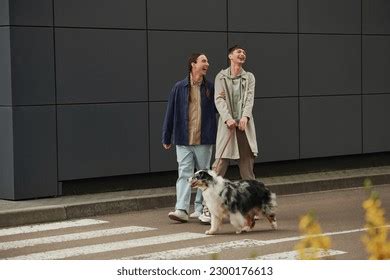 Sexo Gay Con Un Perro Royalty Free Images Stock Photos Pictures Shutterstock