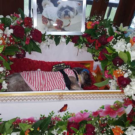 Pet Funeral Services Near Me : Pet Funeral High Resolution Stock Photography And Images Alamy ...