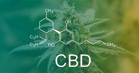 cbd guide  cbd  benefit  patients health  healing
