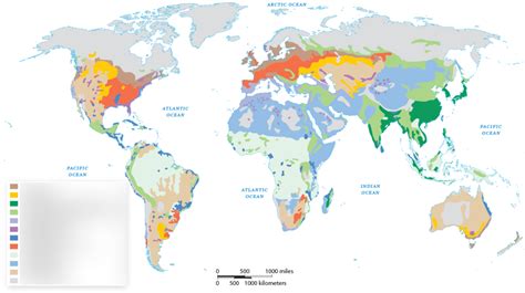 Aphuman Unit Agriculture Diagram Quizlet