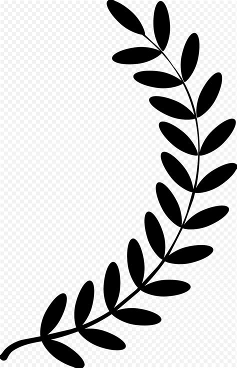 Лавровый Лист, Лавровый Венок, Лавровый Лавр, Оливковая ветвь ...