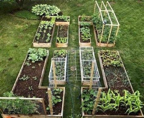 60 Easy To Try Vegetable Garden For Beginners Design Ideas 57