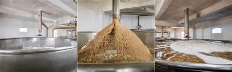 Malting Process - Barmalt