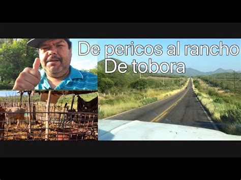 De Pericos Mocorito Sinaloa Al Rancho De Tobora Mexico15 YouTube