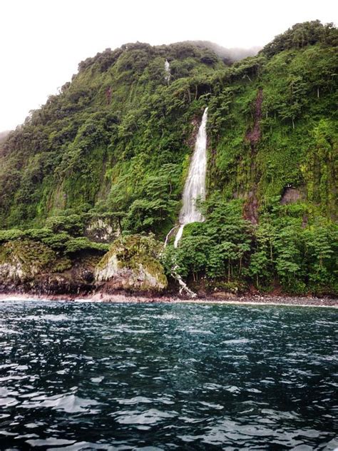 Parque Nacional Isla Del Coco Cocos Island National Park Costa Rica