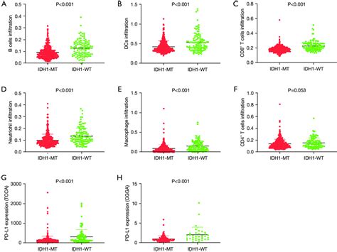 Relationships between different IDH1 mutation status groups and the ...