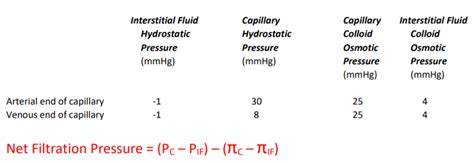 Solved Assume That The Average Filtration Pressure For The Chegg