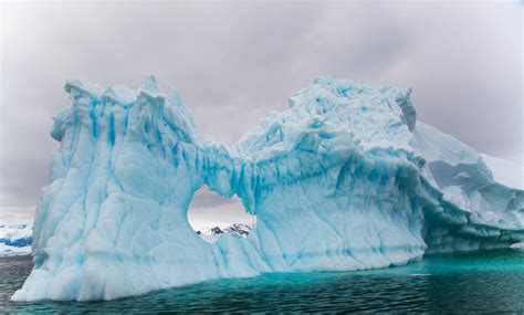 Things To Do In Antarctica Your Guide To The Seventh Continent