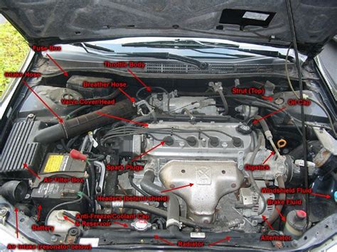 2013 Honda Accord Under The Hood Diagram Parts For A Honda A