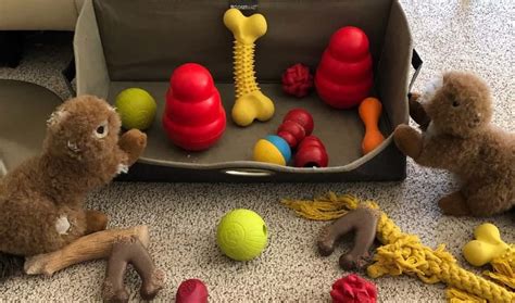 how to wash dog toy
