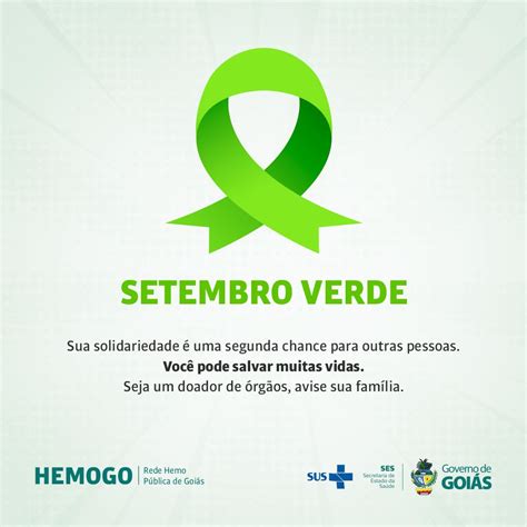 Hemocentro De Goiás Setembro Verde Rede Hemo Intensifica Campanha De