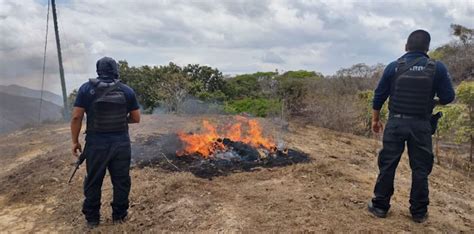 En Chinicuila SSP y GN desmantelan campamento ilícito y aseguran