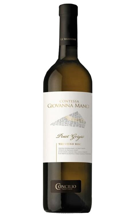Concilio Pinot Grigio - RockHead Beer Wine Spirits