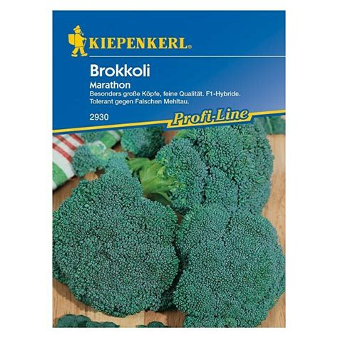 Kiepenkerl Profi Line Gemüsesamen Brokkoli Marathon Brassica oleracea