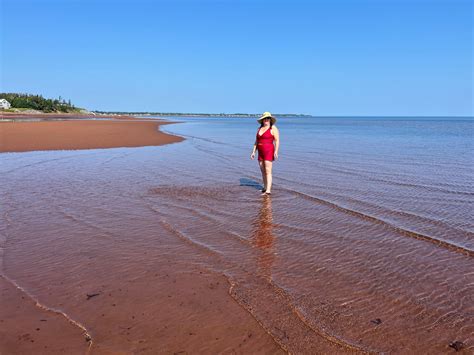 Tulum Reversible Bikini Wrap Top Women S Black And Cream Bikini Plus Size Swimwear Baiia