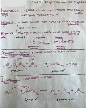 Filled Dehydration Synthesis & Hydrolysis PowerNotes by My Biology ...