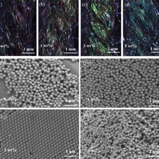 Structural Colors And Corresponding Photonic Crystal Arrangement Of The