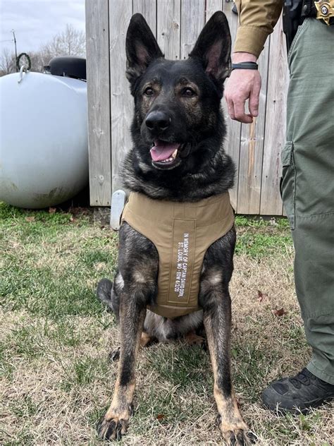 Oregon County Sheriffs Office Receives Donation Of K9 Body Armor