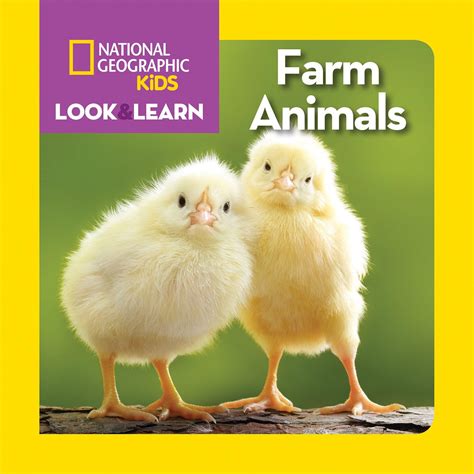 Animal-Kids-Books-2019-09-29_08-48-4: Fun Animal Facts for Kids: Fun ...