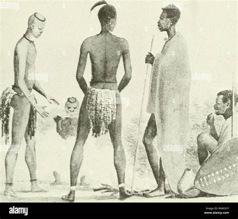 annals   south african museum annale van die suid afrikaanse