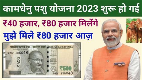 मुख्यमंत्री कामधेनु बीमा योजना 2023 में रजिस्ट्रेशन कैसे करें। ₹40000