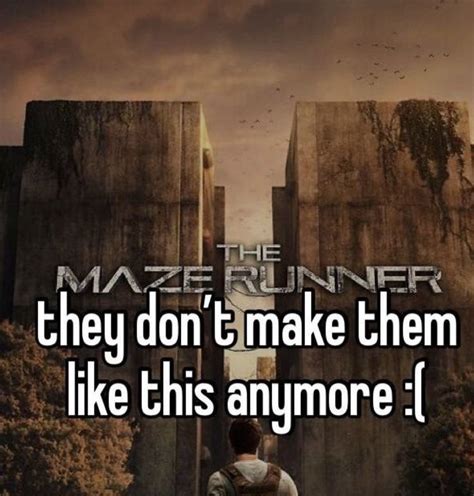 Maze Runner In Maze Runner Maze Runner Funny Maze Runner Movie