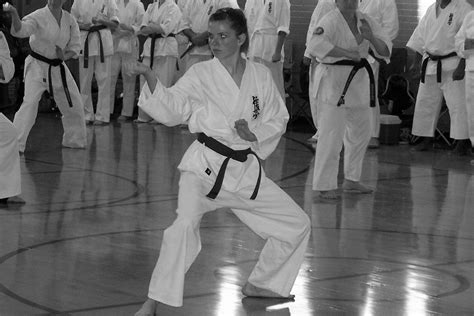 Gray Wolf Martial Arts