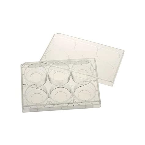 Celltreat 229190 96 Well Tissue Culture Plate With Lid Sterile Round