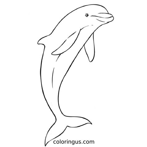 Cute Whale Coloring Page