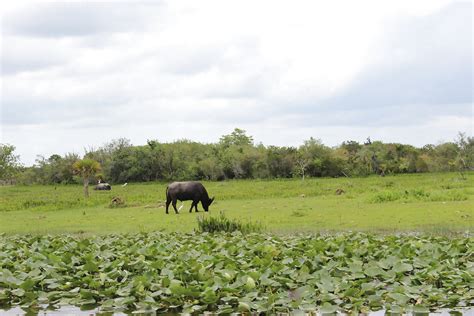 Love Mature Females Porn Pictures XXX Photos Sex Images PICTOA