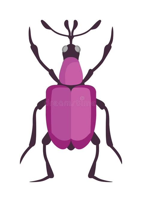 Insecto Plano Del Insecto Del Escarabajo En Vector Del Estilo De La